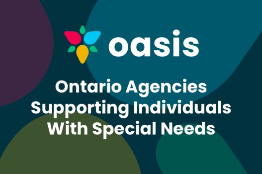 Call for New OASIS Board Members